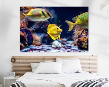 Kleuren van de zee -  Gele zeilvindoktersvis van Sanne Hoogstad