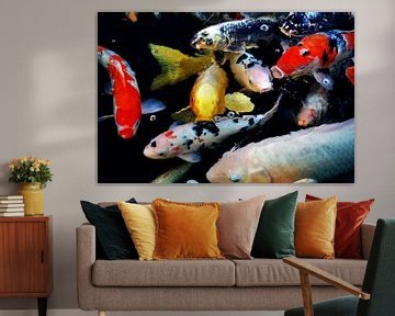 colorful koi fish in pond by Werner Lehmann