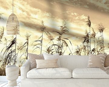 Reed in sepia by Werner Lehmann
