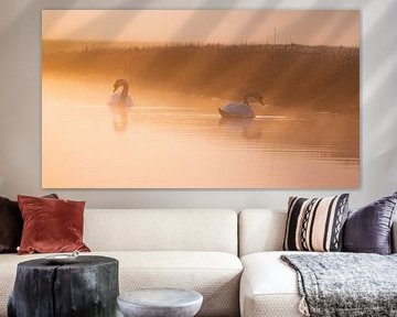 Het Zwanenmeer van WILBERT HEIJKOOP photography