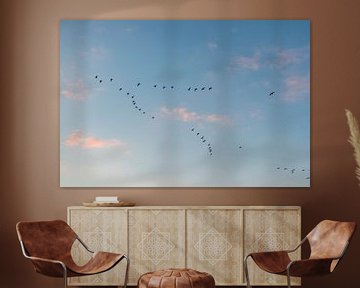 Vogels in de blauwe lucht | Natuurfotografie wall art van Ilonka Arnoczky