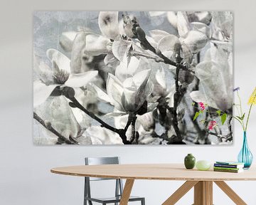 Le Magnolia en fleurs sur Yvonne Blokland