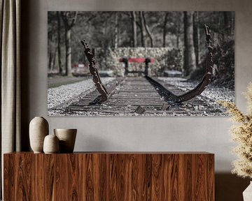 Railroad tracks Westerbork by FinePixel