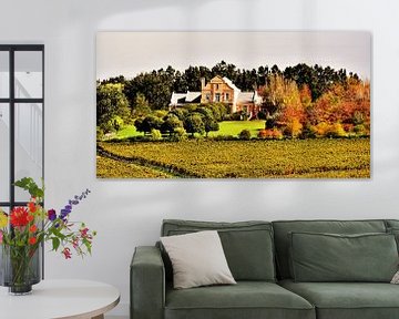 Weingut Haus mit Bäumen in herbstfarben und Weinfeldern von Werner Lehmann