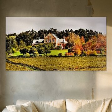 Weingut Haus mit Bäumen in herbstfarben und Weinfeldern