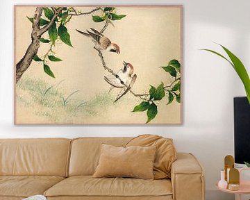 Gossiping Sparrows (18th Century) painting by Zhang Ruoai. by Studio POPPY