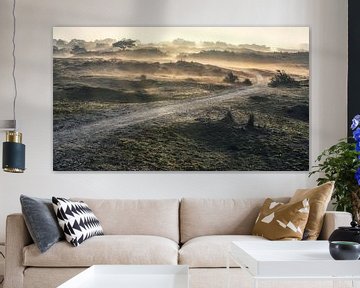 Mist in the dune landscape by eric van der eijk
