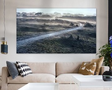 Nebel in der Dünenlandschaft von eric van der eijk