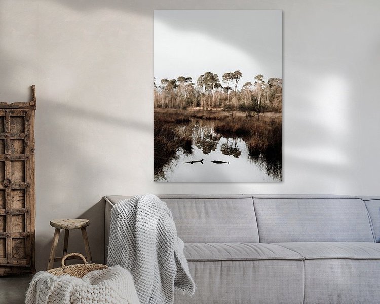 Aperçu de la chambre