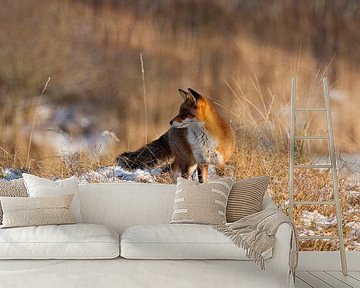 Vos in de Sneeuw van Anton de Zeeuw