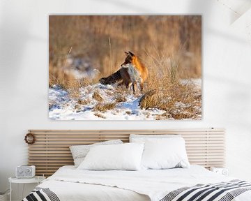 Fox in the Snow by Anton de Zeeuw