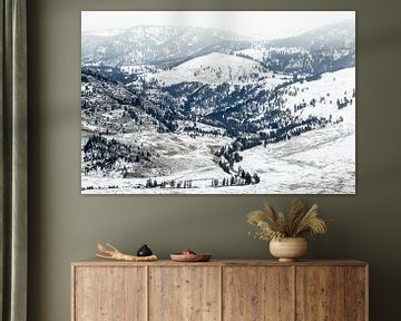 Winters landschap in Yellowstone