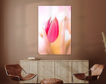 Tulpe von Markus Wegner