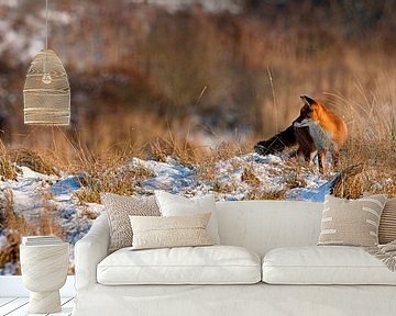 Vos in de sneeuw panorama van Anton de Zeeuw