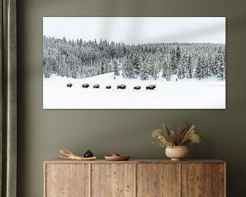 Bisons in Yellowstone by Sjaak den Breeje