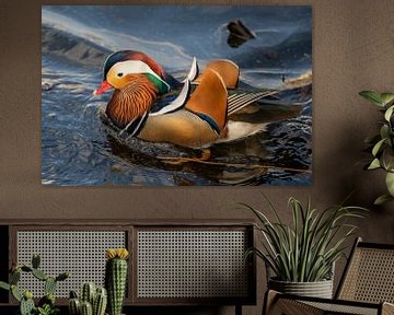 Mandarin duck 5 by t.ART