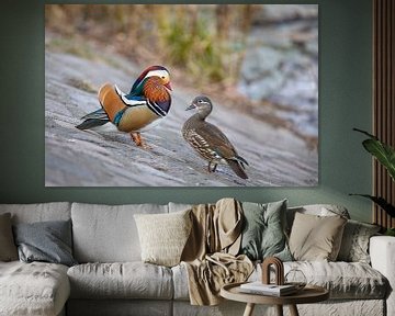 Mandarin duck pair by t.ART