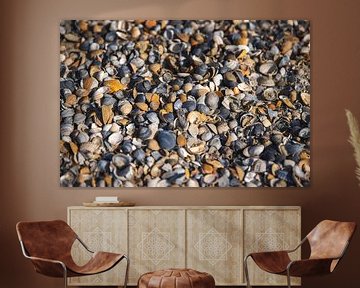 Photo filled with shells on the beach by Simone Janssen