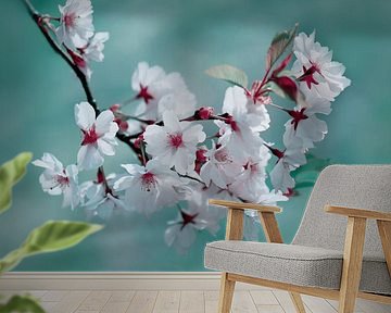 Spring bloom by Violetta Honkisz