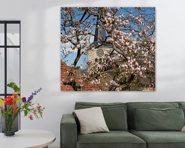 L'église de Simpelveld avec un magnolia en fleur au premier plan.