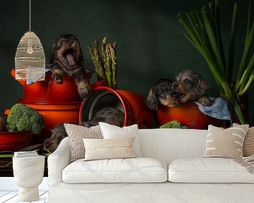 Still life Dogs in the pot by Elles Rijsdijk