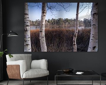 Natur-Triptychon Goorven Oisterwijk von Diana Kors