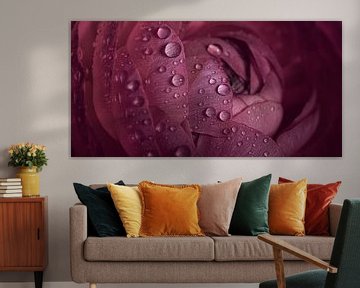 Panorama of drops on an old pink flower by Marjolijn van den Berg