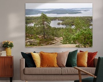 Views from the High Coast of Sweden by Lynn Haverhals