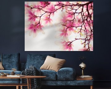 Magnolia, Pure Schoonheid van André Post