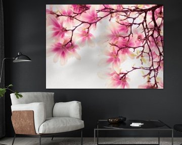 Magnolia, pure schoonheid van André Post