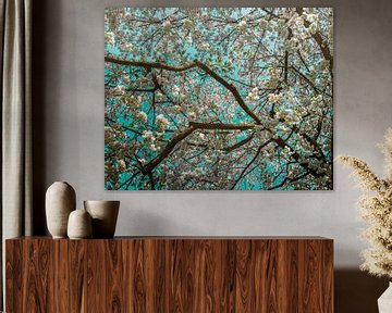Almond blossom ode to van Gogh
