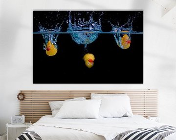 ALL THE DUCKS ARE SWIMMING IN THE WATER by Petra Terpstra