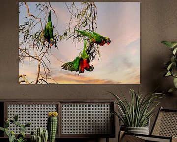 Parrots by Chantal CECCHETTI