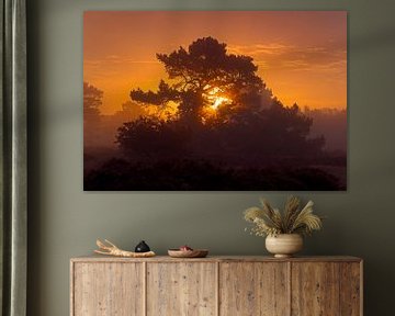Sunrise in a forest by Anton de Zeeuw
