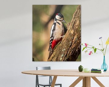 Great Spotted Woodpecker by Rik Zwier