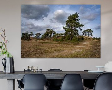 Dennen op het Hulshorsterzand van Margreet Frowijn