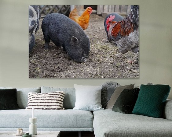 Aperçu de la chambre