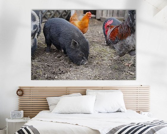 Aperçu de la chambre