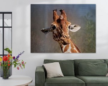 Giraffe van Ed Steenhoek
