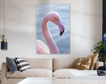 Portret van een flamingo in het water in pastel tinten van Barbara Kempeneers