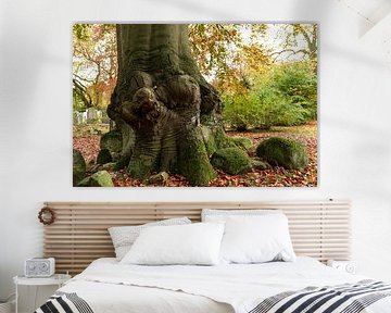 Vieil arbre noueux en automne