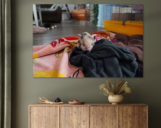 Aperçu de la chambre