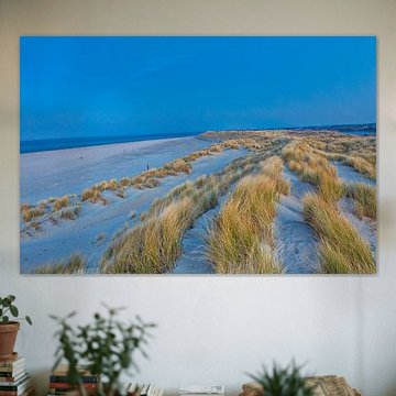 Helmgras in de Duinen van Texel. Eierland