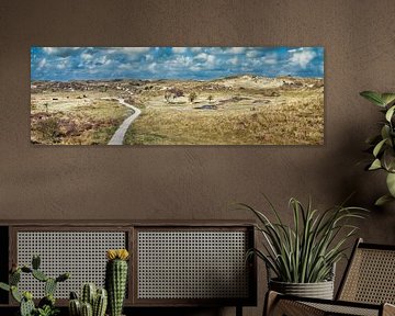 Dunes National Park South Kennemerland
