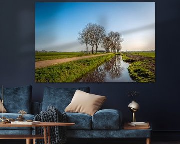 Paysage typique des polders néerlandais par un matin de printemps.