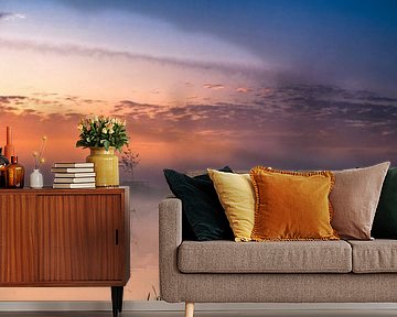 Morning in the polder