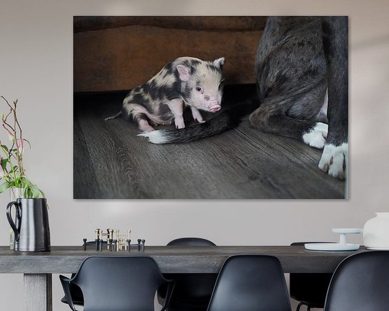 Raumvorschau