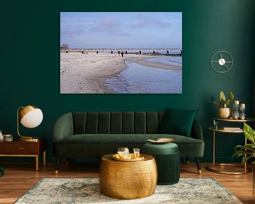 Strandspaziergang mit Hund an der Ostsee von Babetts Bildergalerie