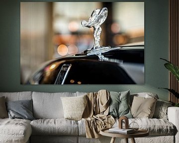 Spirit of Ecstasy by Bas Fransen