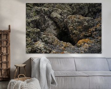 The maw by Michael Köhler